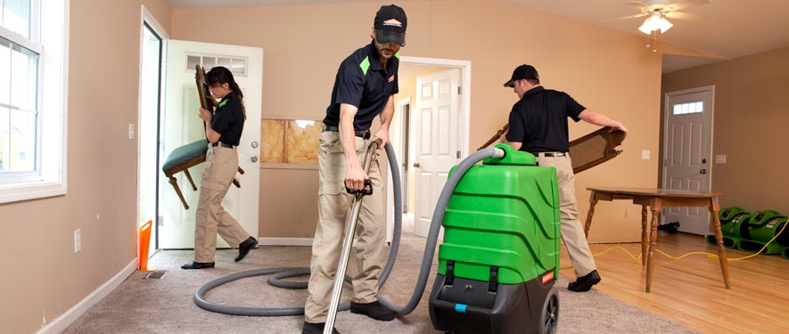 Ruxton, MD cleaning services
