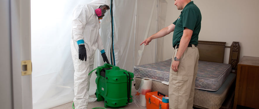 Ruxton, MD mold removal process